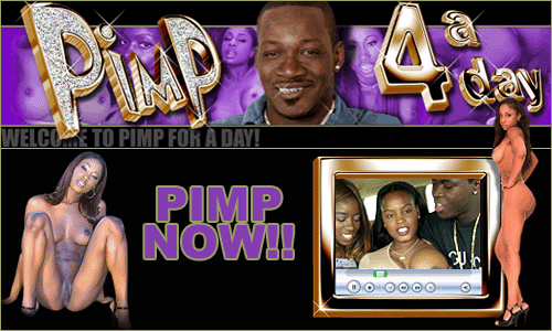 http://www.pimp4aday.com